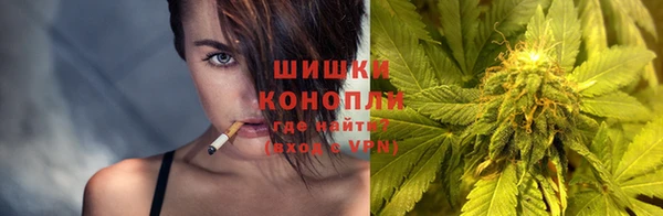 круглые Белокуриха
