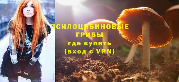 герыч Россошь