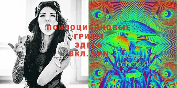 круглые Белокуриха