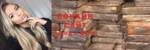 ПСИЛОЦИБИНОВЫЕ ГРИБЫ Рославль