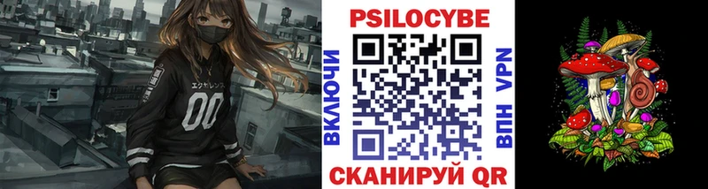 Псилоцибиновые грибы Psilocybe Купить закладки Бобров