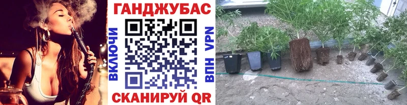 Конопля White Widow  Купить где  Бобров 